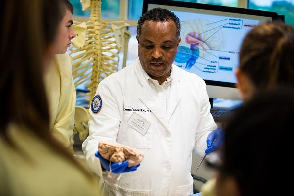 A faculty members hosts an anatomy session for students.