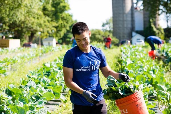 A student works in the field picking greens as part of the annual First Day of Service